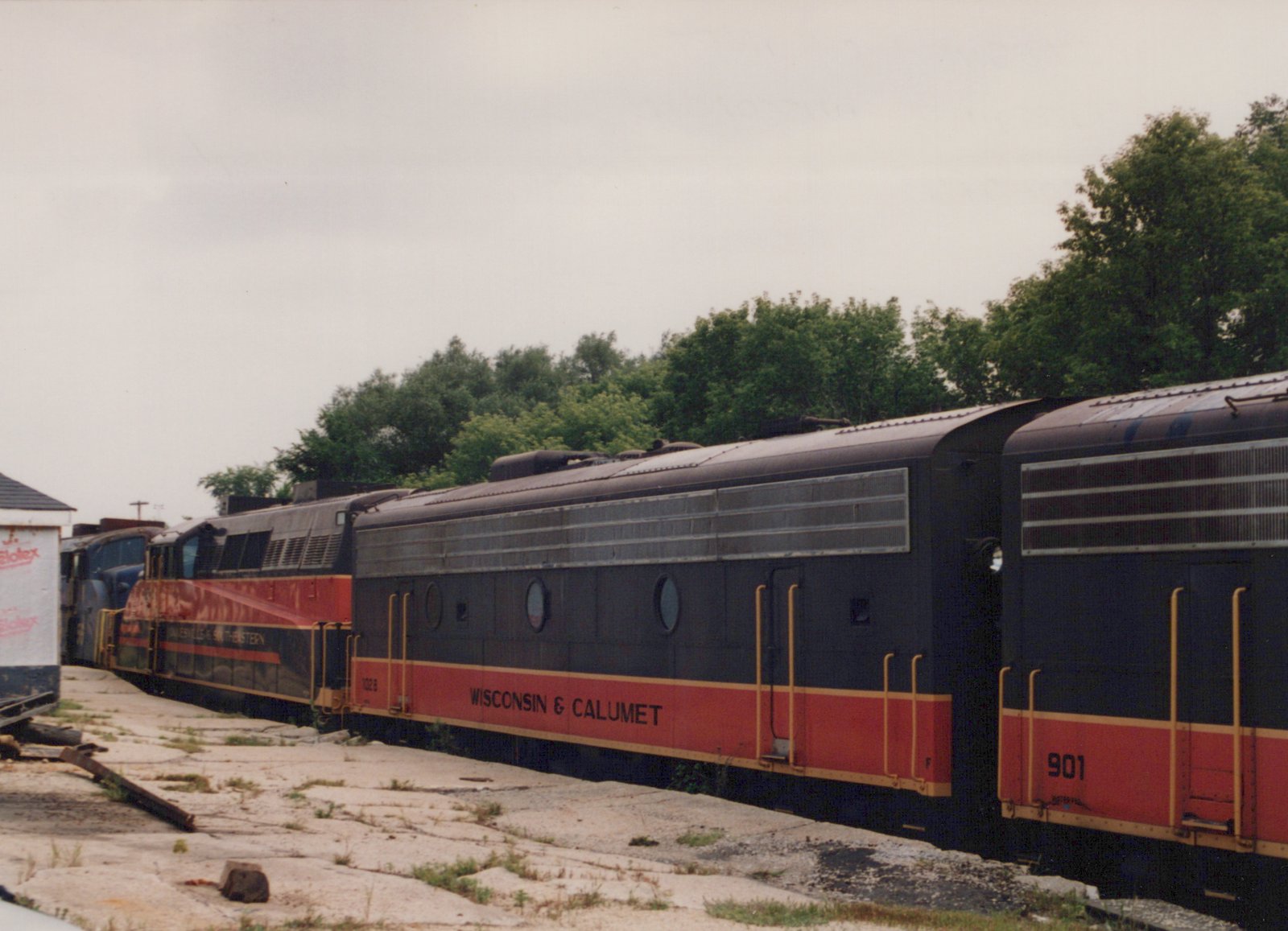 A row of black locomotives with red and yellow side stripes stands on a weedy concrete apron under an overcast sky, with trees behind them.