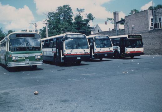 Four CTA buses, one green and cream and three white with red and black stripes, are parked side-by-side in an asphalt lot with trees and a brick building in the background.