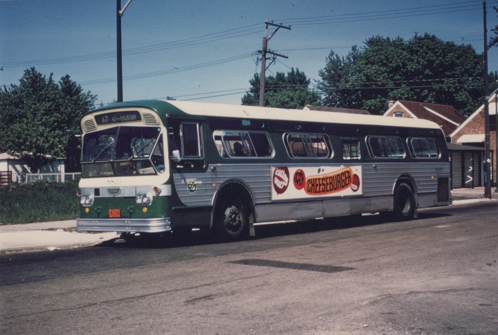 Side view of a green and cream CTA bus numbered 5819, displaying a 'Say Cheeseburger' ad, on a tree-lined street under a clear blue sky.