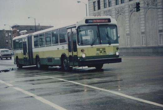 A green and white articulated bus with the number 7198 and 'cta' lettering is driving on a wet street in Chicago, with a large building and a traffic light in the background.