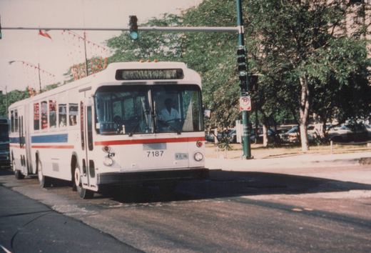 A white articulated bus with red and blue stripes, numbered 7187, is on a city street under a green traffic light with trees and parked cars in the background.