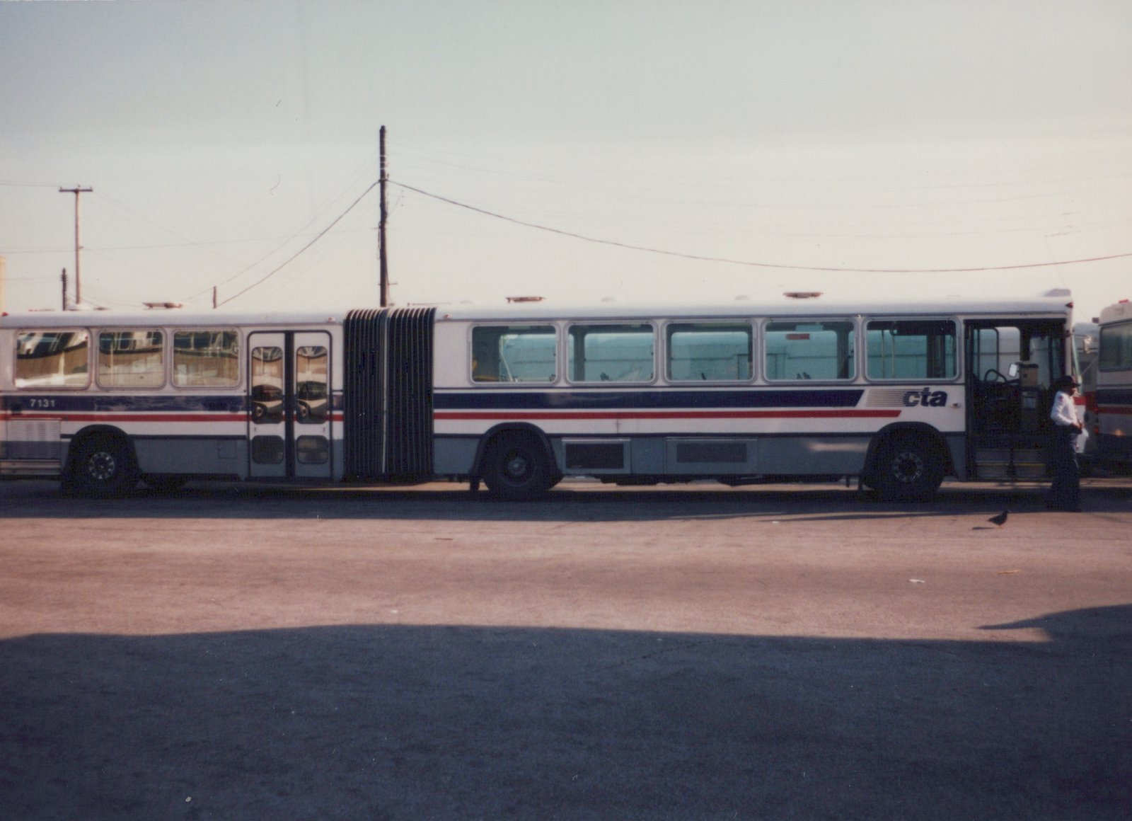 Side view of a white, blue, and red articulated bus with 'CTA' lettering and the number 7131, parked on a paved lot with a person standing nearby.