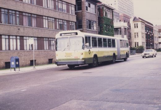 A white, yellow, and green articulated bus with the number 7011 on its front, operating on the 81 Lawrence route, is shown driving down a city street lined with brick apartment buildings.