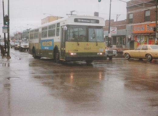 A yellow and green Chicago Transit Authority bus on a wet city street, with storefronts and vintage cars in the background.