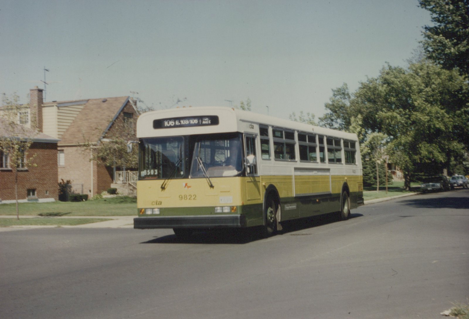A yellow, cream, and green CTA bus drives down a tree-lined street in front of brick houses on a clear day.