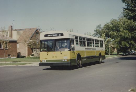 A yellow, cream, and green CTA bus drives down a tree-lined street in front of brick houses on a clear day.