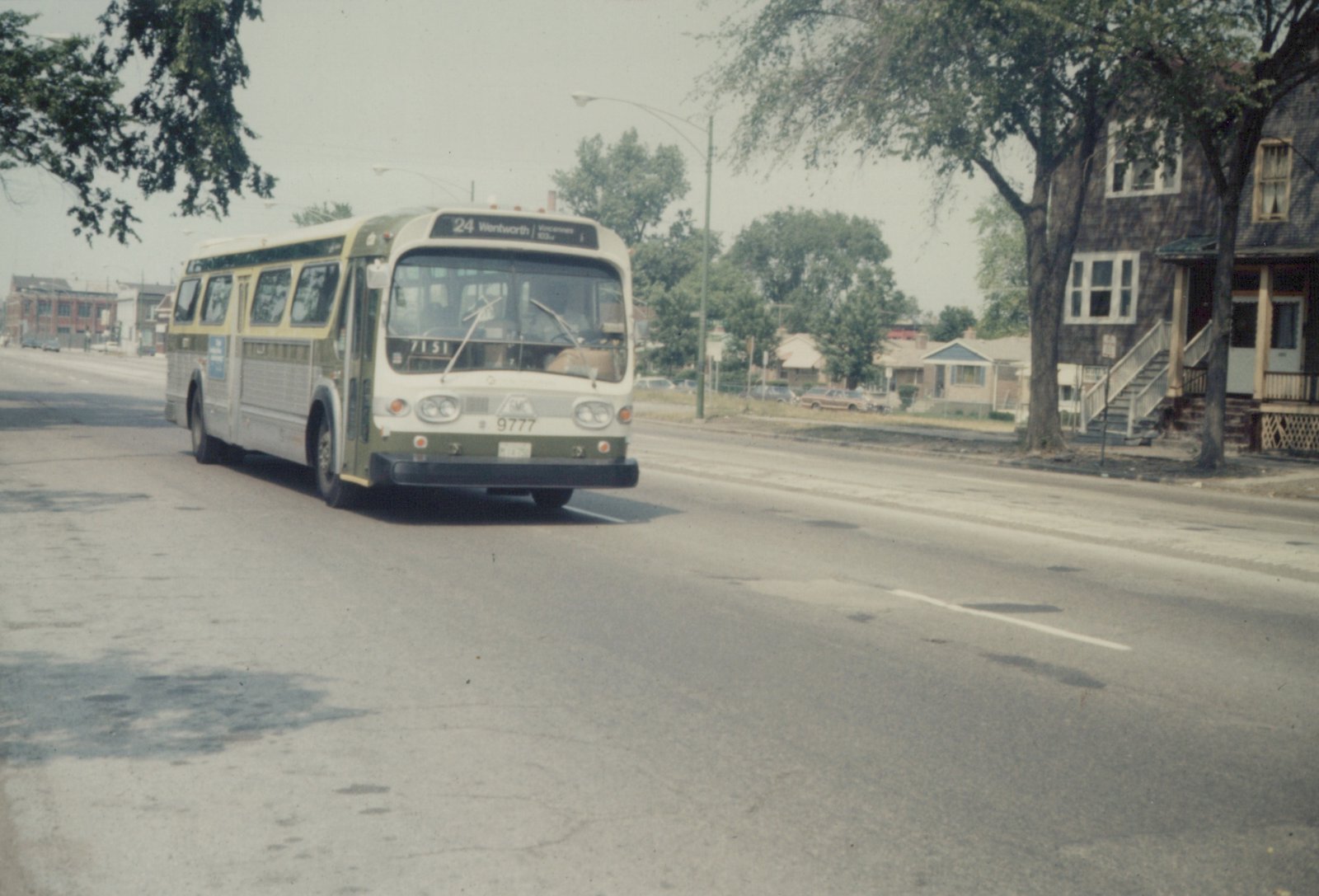 A green and cream CTA bus with the number 9777 on the front drives down a tree-lined street on a sunny day.