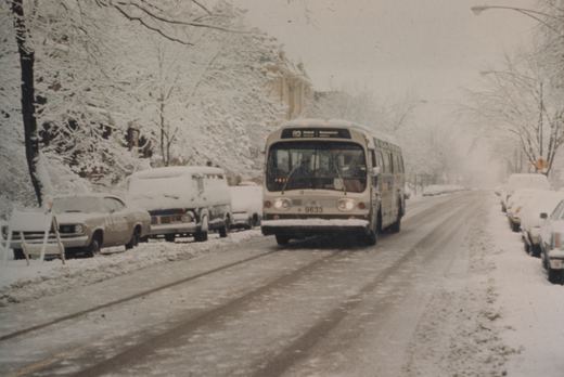A front view of a cream-colored Chicago Transit Authority motor bus, number 9633, driving down a snowy residential street with parked cars on both sides and bare, snow-laden trees.