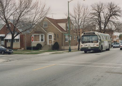 A white and green CTA bus numbered 9604 drives down a tree-lined residential street under an overcast sky, with street signs for Nottingham Avenue and a 'One Way' sign visible.