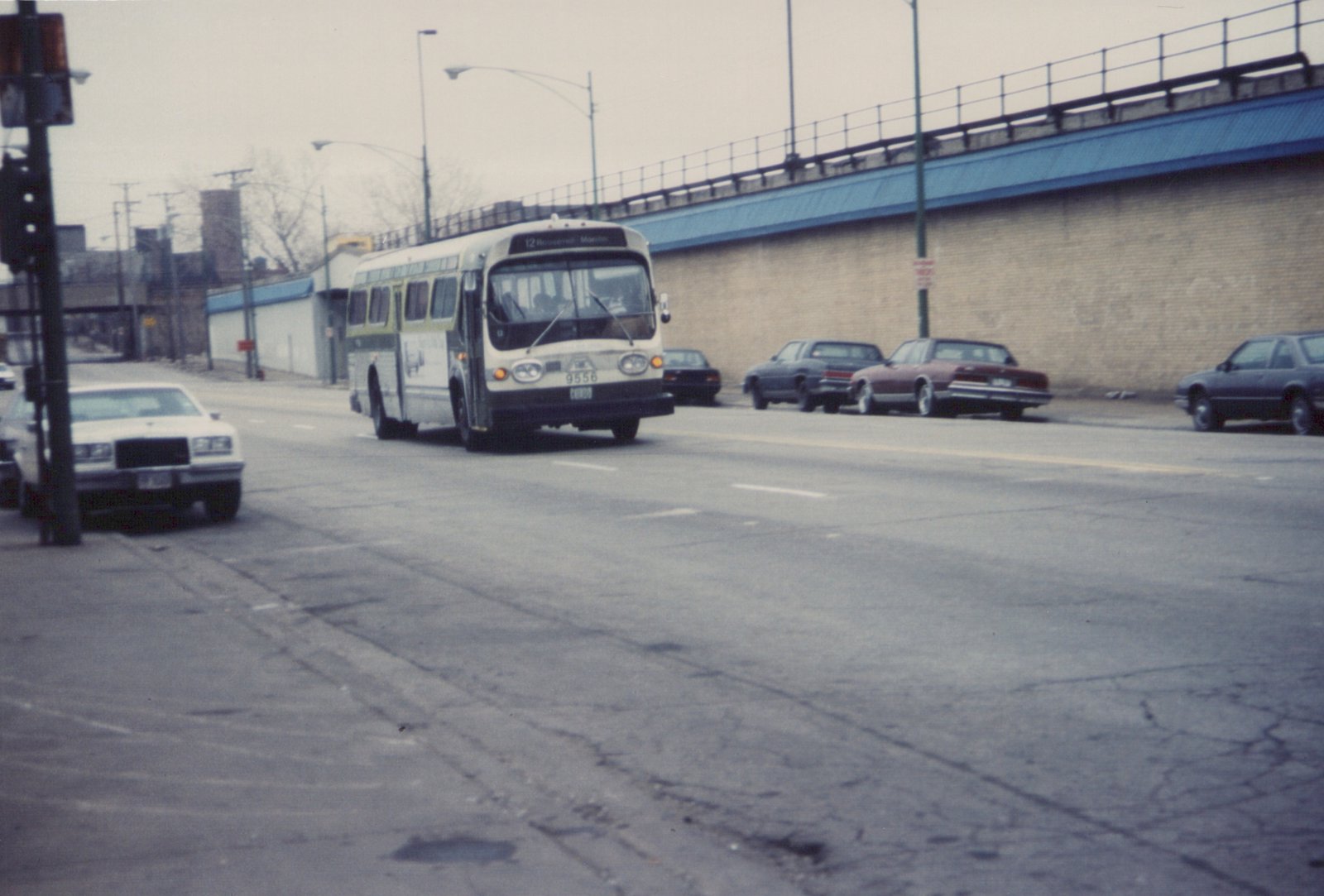 A white and green Chicago Transit Authority bus, number 9556, is shown driving down a street with several cars parked along the side and an elevated train structure overhead.