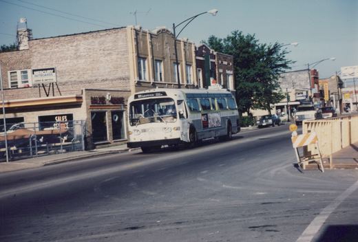 A white and green CTA bus with the number 9515 and route 81 Lawrence is driving down a city street lined with storefronts and trees on a clear day.