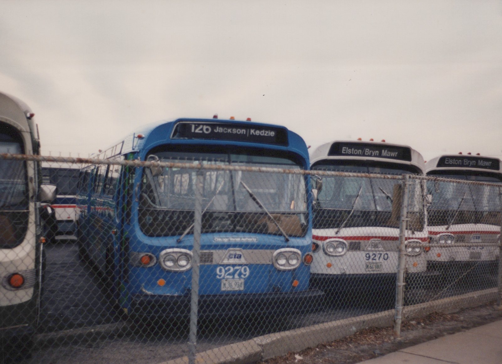 A row of Chicago Transit Authority buses, with a blue bus numbered 9279 and two white buses numbered 9270 and 9273, are parked behind a chain-link fence on an overcast day.