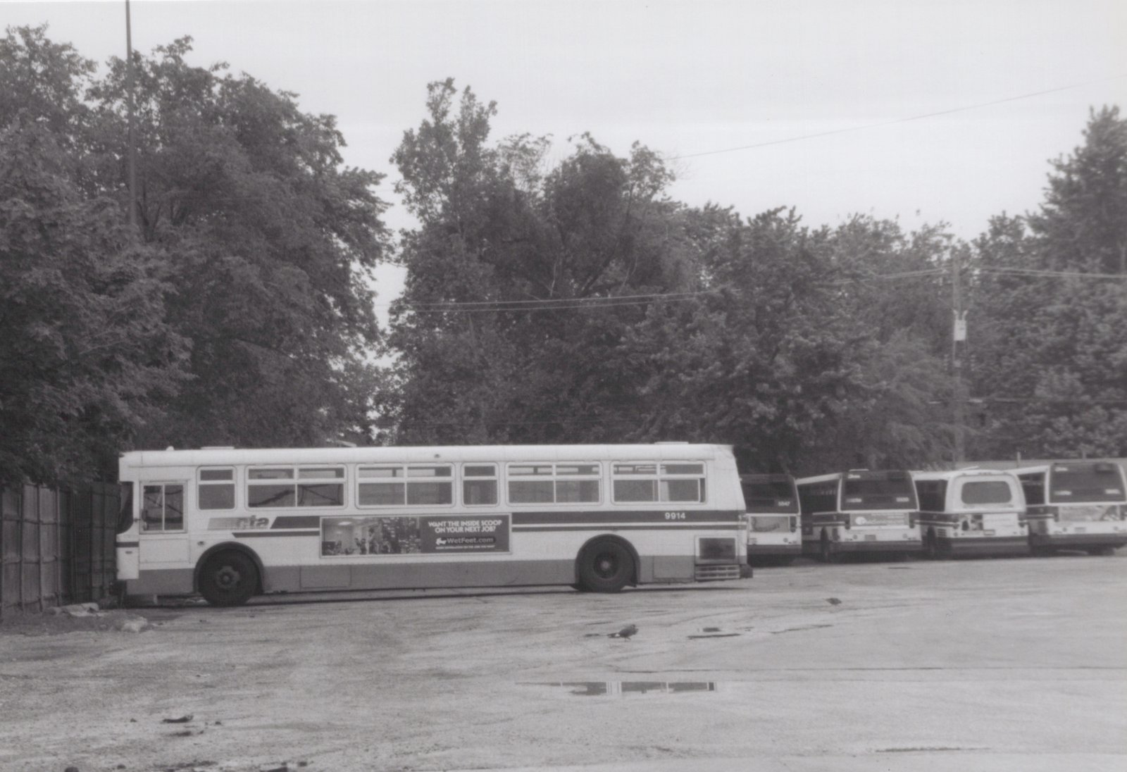 A side view of a Chicago Transit Authority bus, number 9914, parked in a lot with trees behind it and other buses in the background.