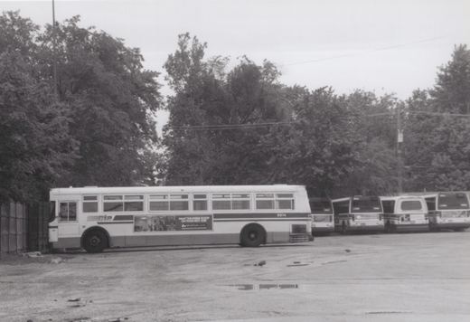 A side view of a Chicago Transit Authority bus, number 9914, parked in a lot with trees behind it and other buses in the background.