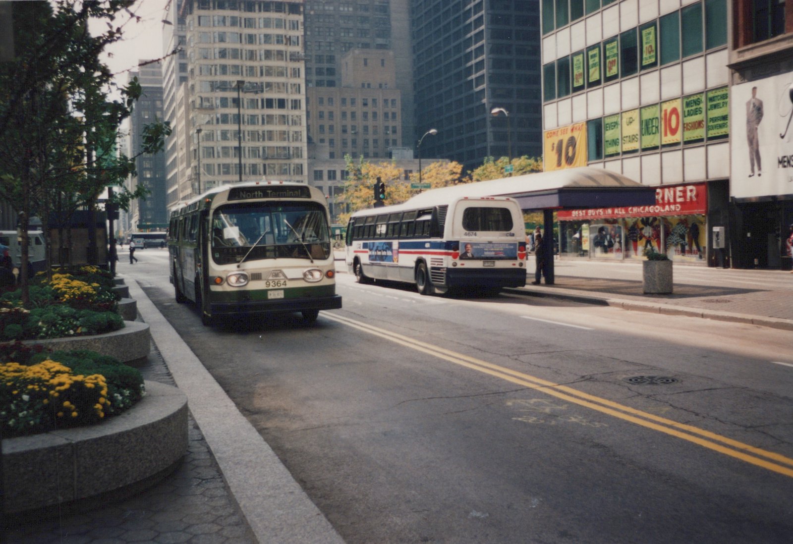 A daytime scene on a Chicago street with two CTA buses, one green and cream heading forward and one white with red and blue stripes stopped at a shelter, surrounded by tall buildings and autumn trees.