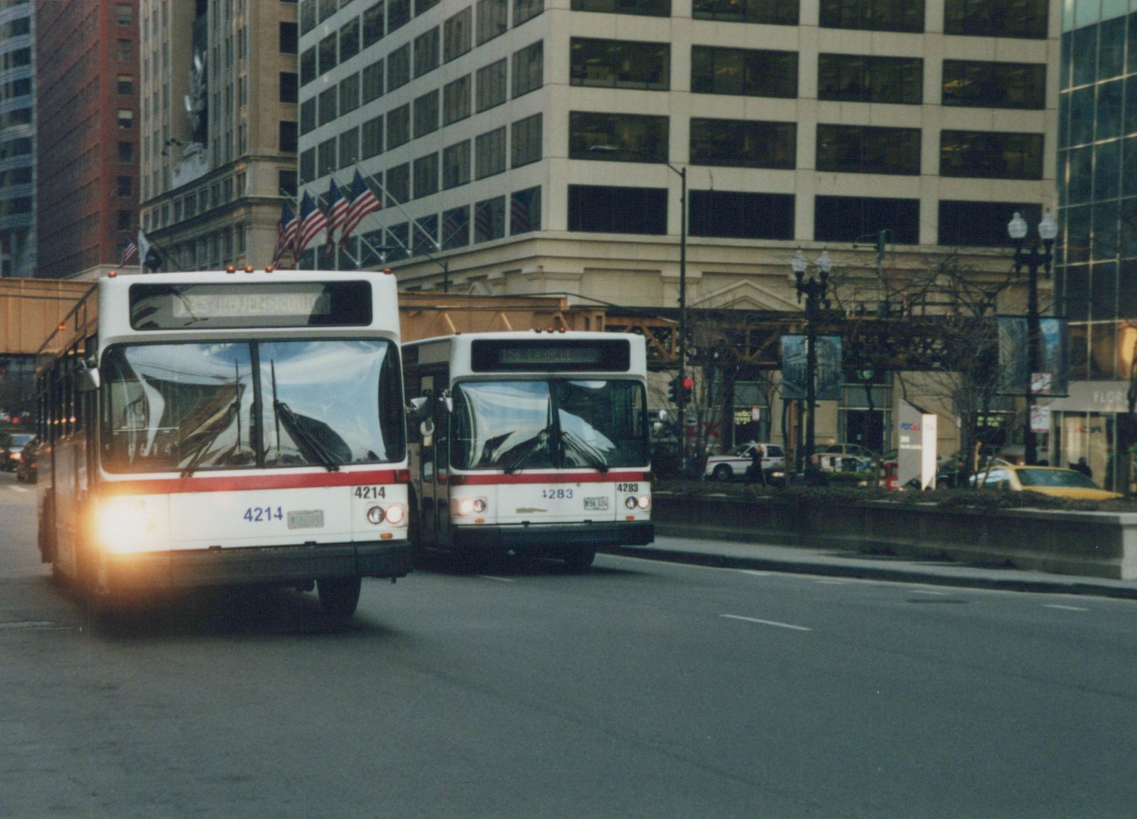 Front view of two white and red Chicago Transit Authority buses, 4214 and 4283, with destination signs visible, on a city street with buildings and a police car in the background.
