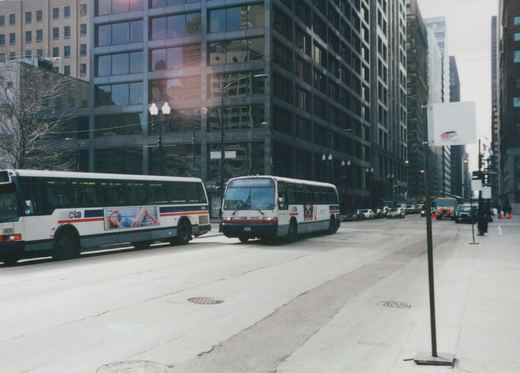 Two white Chicago Transit Authority buses, one marked 4440 and the other 5736, drive on a city street with tall buildings in the background.