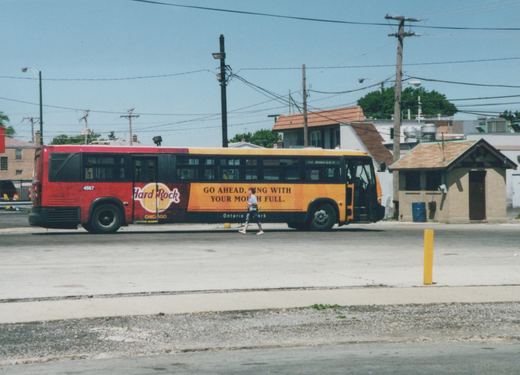 A red, orange, and black Chicago Transit Authority bus, number 4567, with a Hard Rock Cafe ad, is parked on a street with a pedestrian walking nearby on a sunny day.