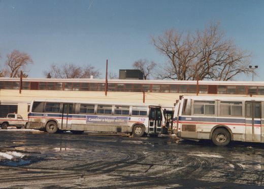 Two white CTA buses with blue and red stripes are parked in a paved lot with patches of snow and ice, in front of a beige building on a clear winter day.