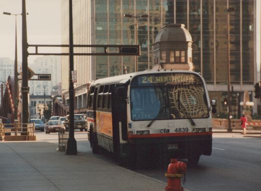 A white CTA bus with the number 4839 and route 24 Wentworth on its sign is driving down a city street, with tall buildings and a red fire hydrant in the foreground.