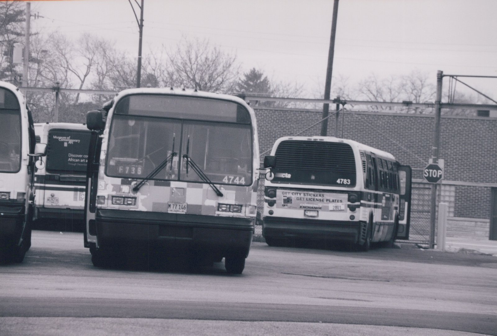 Black and white photo of three CTA buses, 4744 in the front, 4783 behind it to the right, and F736 to the left, on a street with a stop sign and bare trees.