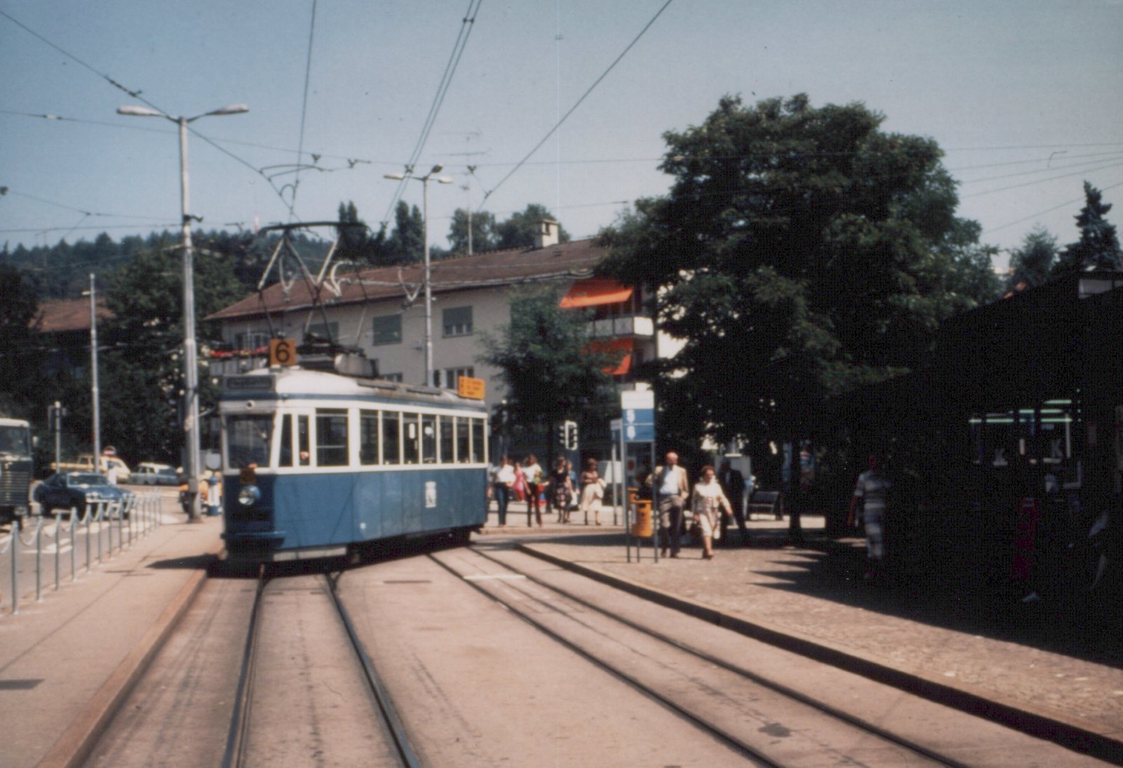 A blue and white tram with a pantograph and an orange route 6 sign comes toward the camera on tracks set in pavement, as people walk along a tree-shaded platform.