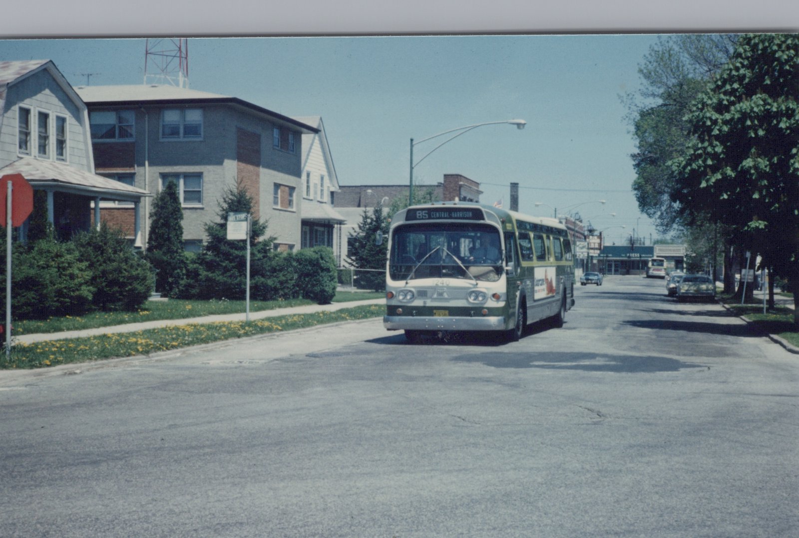 A green and cream Chicago Transit Authority bus, number 1240, is driving down a residential street with houses and trees on both sides under a clear sky.