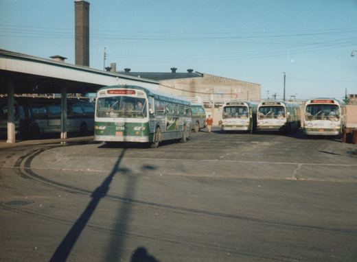Four green and cream Chicago Transit Authority buses, numbered 3756, 7455, 7503, and 7504, are parked at a bus garage on a sunny day.