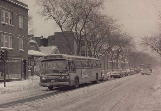 A vintage Chicago Transit Authority bus on a snow-covered street, with bare trees and parked cars lining the road.