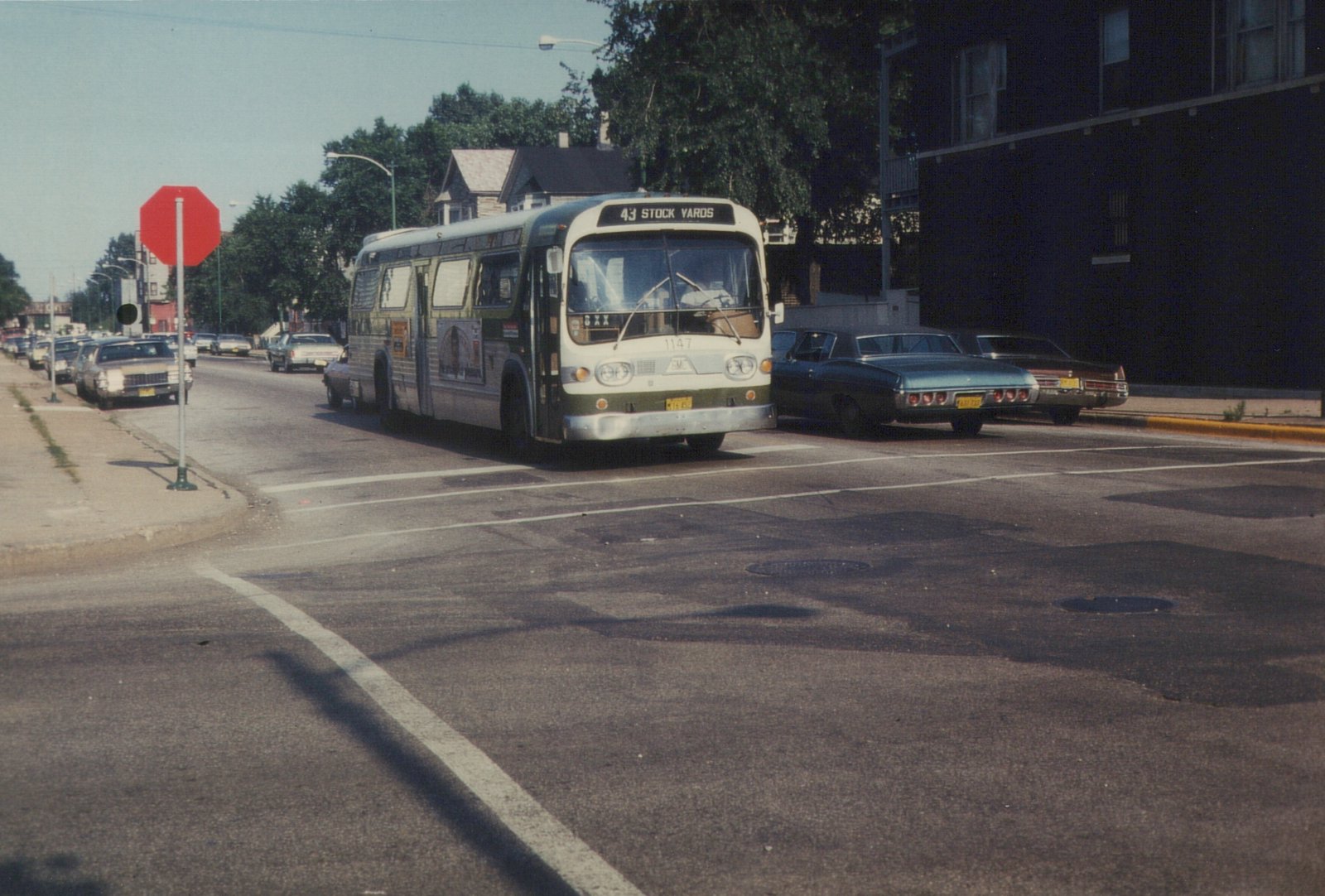 A green and cream CTA bus numbered 1147, displaying route 43 to Stock Yards, is stopped at a street intersection with several cars and a stop sign visible.