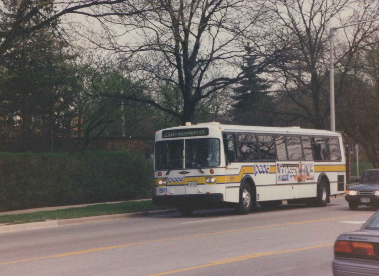 A white and yellow Pace bus numbered 8911, showing route 210 to Glenbrook, drives on a tree-lined street with cars nearby.