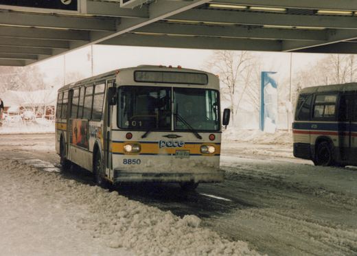 Two Pace buses, one with the number 8850 on its bumper and another with 4729 on its side, are on a snow-covered street under an overpass, with bare trees in the background.