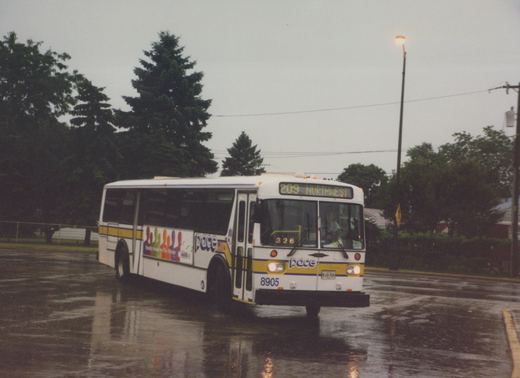 A white Pace bus with yellow and blue stripes drives on a wet street in the rain, with the destination '209 NORTHWEST' displayed on its front sign and the number 8905 on its bumper.