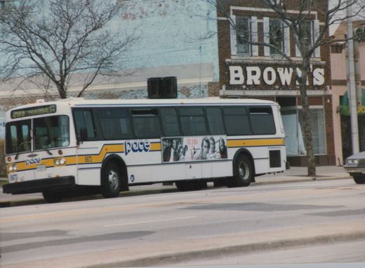 A white Pace bus with blue and yellow stripes, number 8873, travels down a city street in front of a building with a 'BROWN'S' sign.