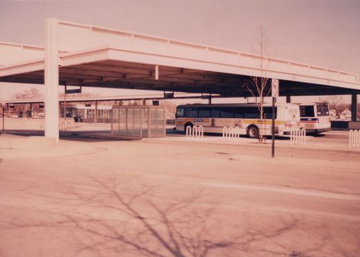 Two white Pace buses with blue and yellow stripes are parked at a bus terminal under a concrete overpass, with bare trees and a clear sky in the background.