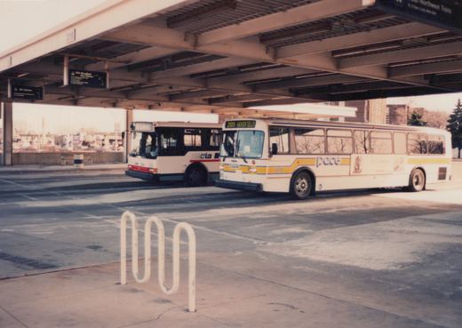 Two white transit buses, one with Pace livery and number 8876 and the other with CTA livery, are parked under a covered structure with overhead signs, with bare trees visible in the background.