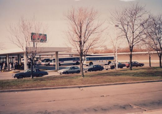 A roadside view of a Pace and CTA bus terminal on a winter day, showing several buses parked under a covered structure, with people waiting and a line of 1980s cars parked nearby.