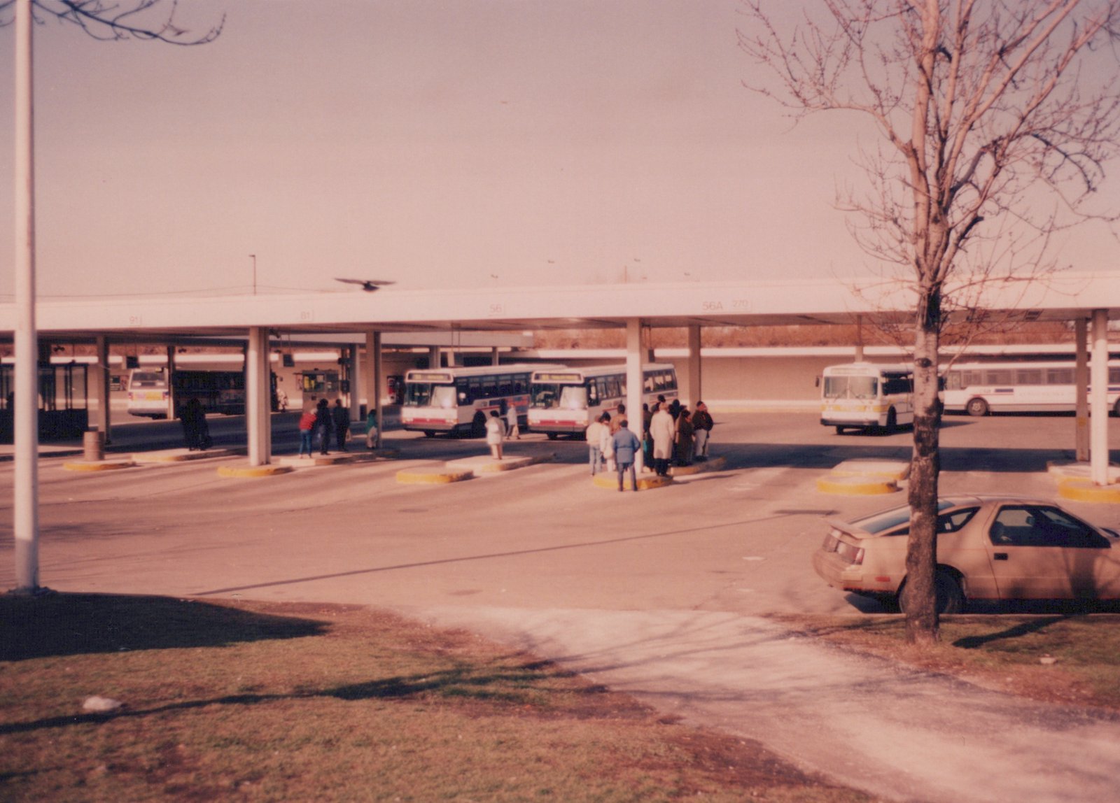 A row of white CTA buses at a covered terminal with people standing nearby under a clear sky.