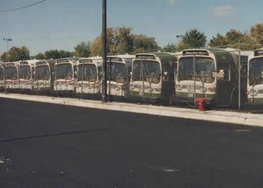 A row of green and cream Chicago Transit Authority buses parked behind a chain-link fence on an asphalt lot under a blue sky with trees in the background.