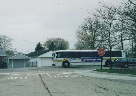 A white Pace bus with a yellow stripe, number 8909, is parked on a street next to a stop sign and a parked station wagon, with bare trees and houses in the background.