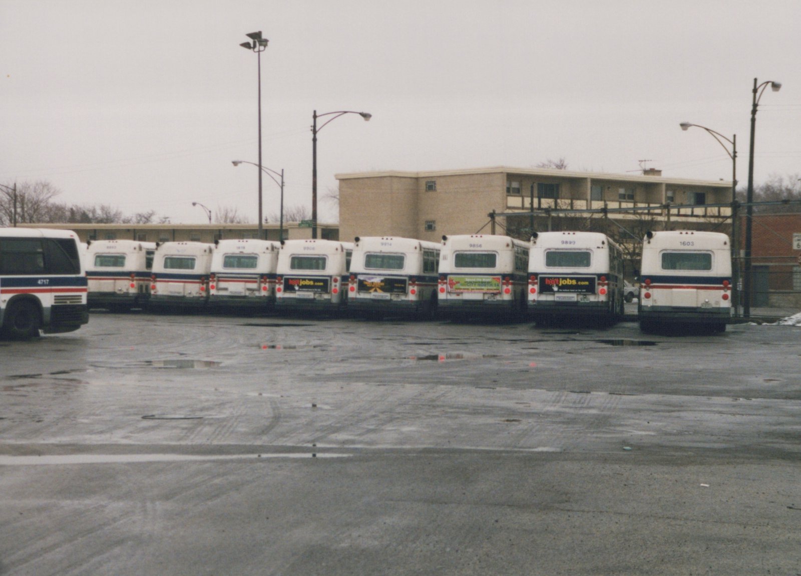 A rear view of several white Chicago Transit Authority buses with red and blue stripes, parked in a row at a bus garage with a wet asphalt lot and a tan apartment building in the background.