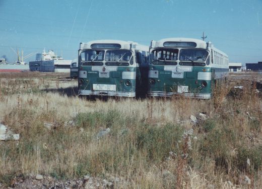 Two abandoned green and white buses are parked side by side in an overgrown, grassy lot with industrial buildings and a large ship visible in the background under a clear sky.