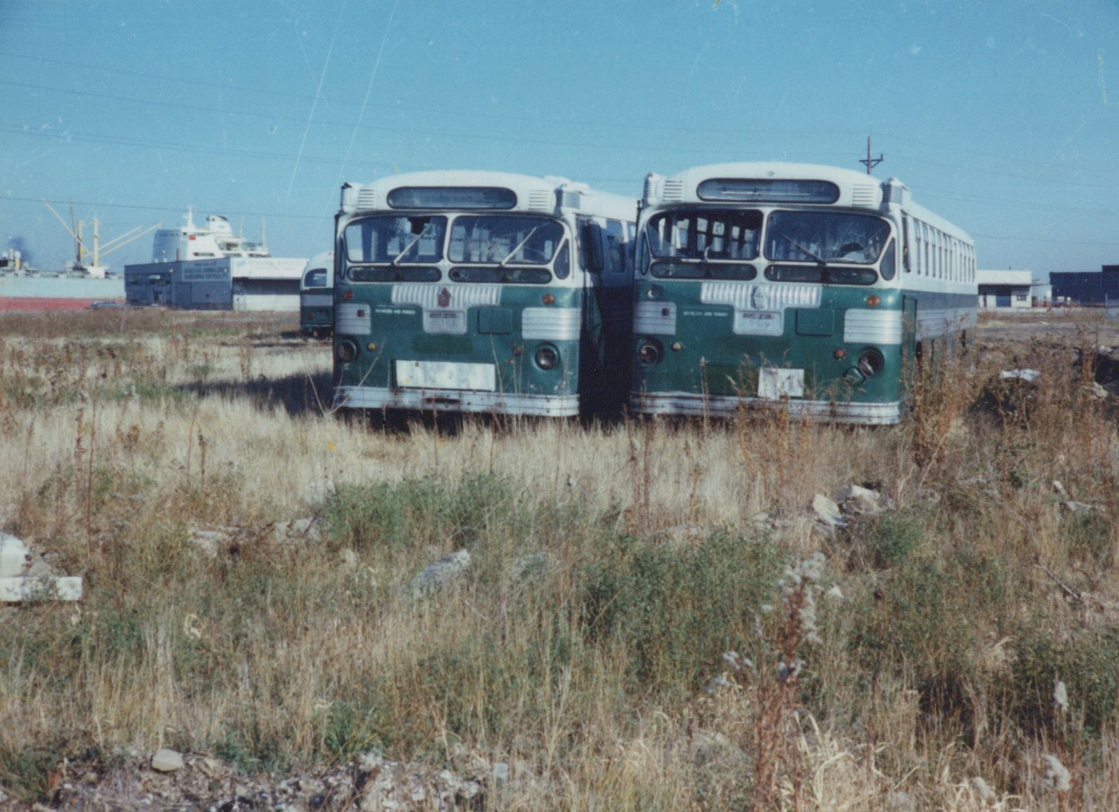 Two abandoned green and white buses are parked side by side in an overgrown, grassy lot with industrial buildings and a large ship visible in the background under a clear sky.