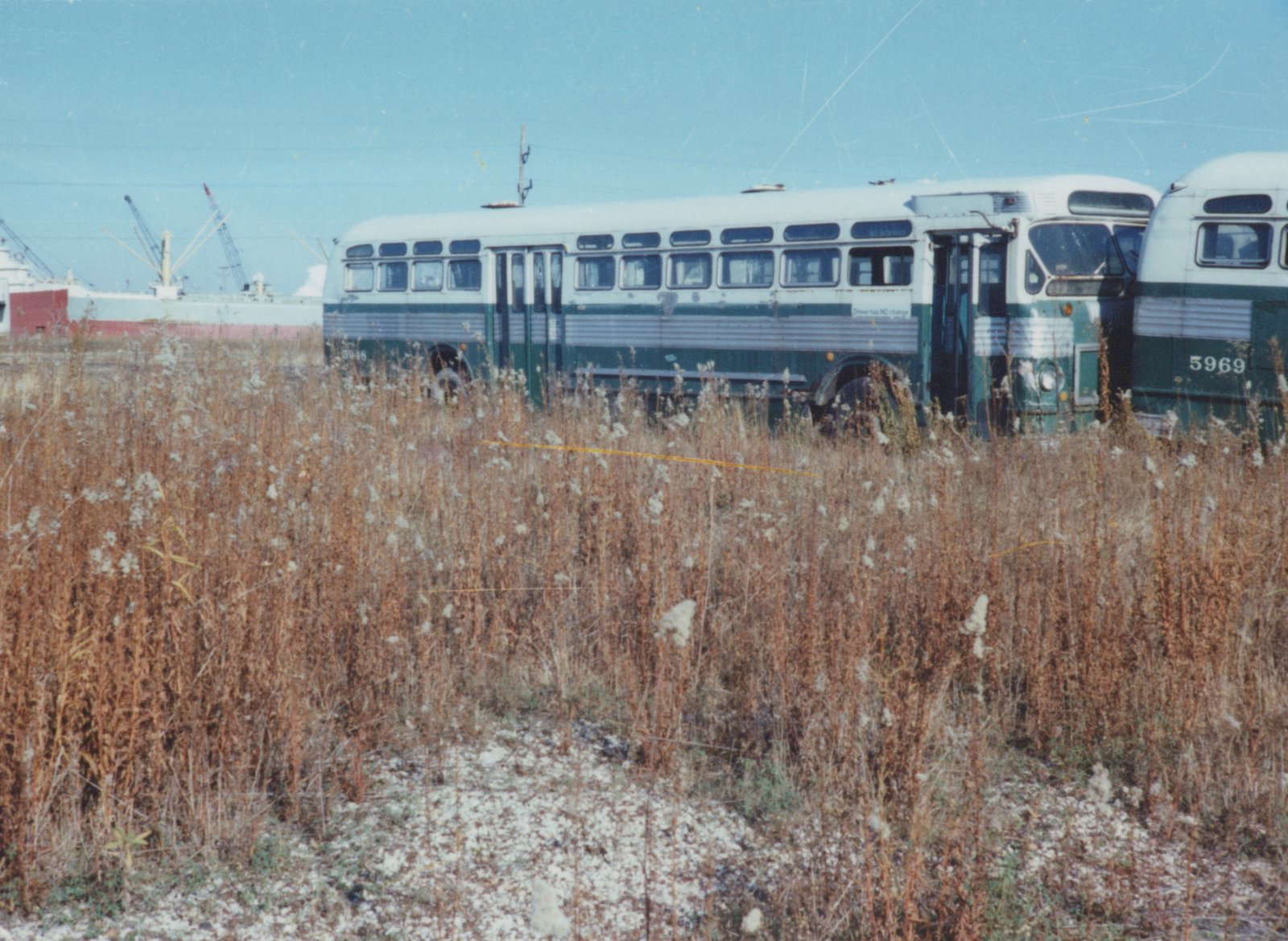 Two vintage green and cream CTA buses, numbered 5946 and 5969, sit in a field of tall, dry grass under a clear blue sky, with a large ship in the distance.