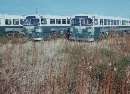 Two green and white CTA buses, numbered 5054 and 5321, are parked in a field of tall, dry grass, suggesting they are out of service and awaiting disposal.