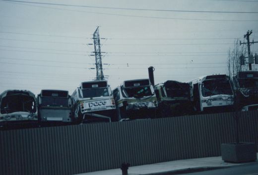 A lineup of decommissioned white Pace buses with blue and yellow stripes, parked behind a dark fence with overhead power lines in the background under a gray sky.