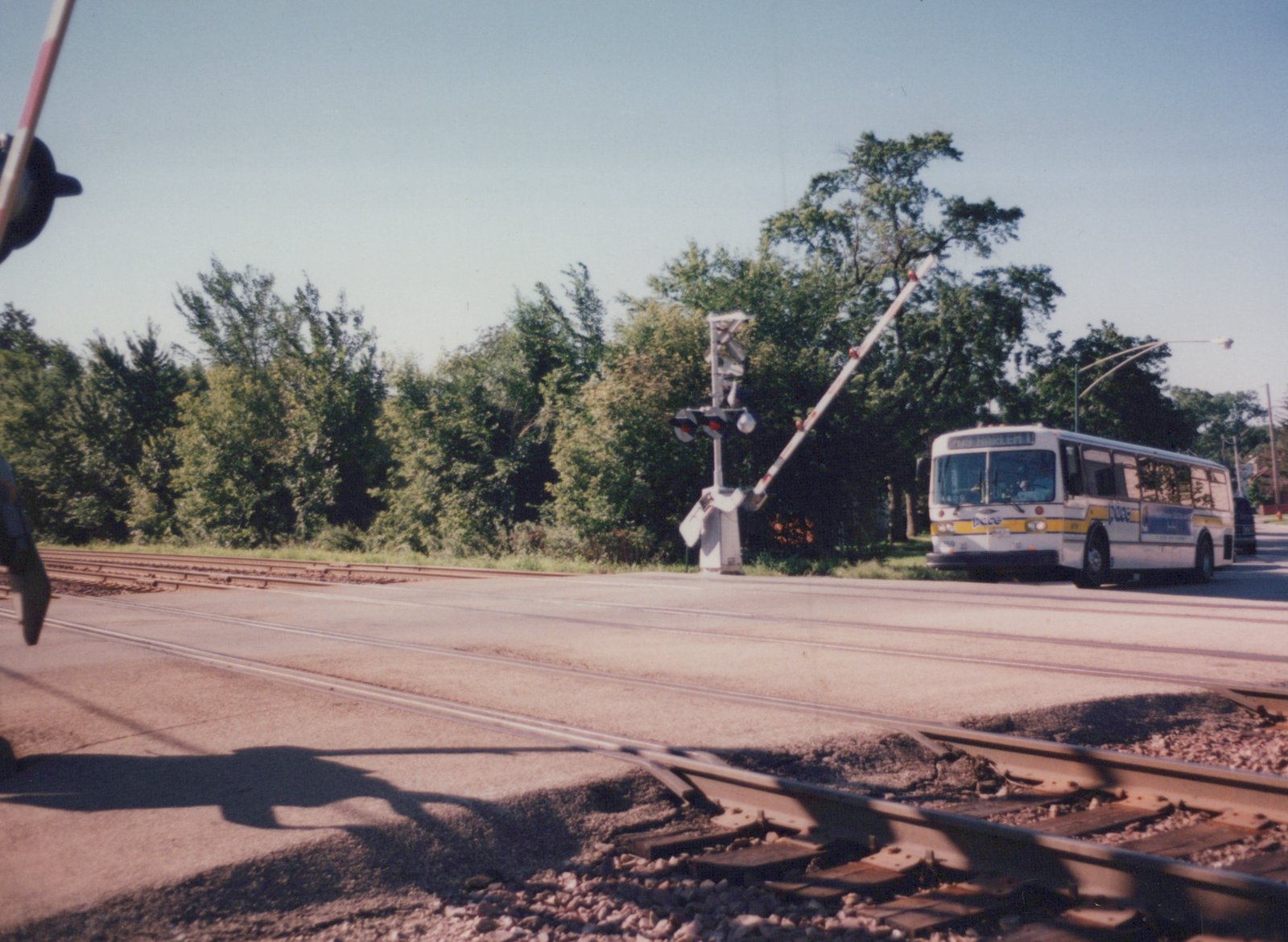 A white and yellow Pace bus with the number 8259 is stopped at a railroad crossing on a sunny day, waiting for a train to pass.