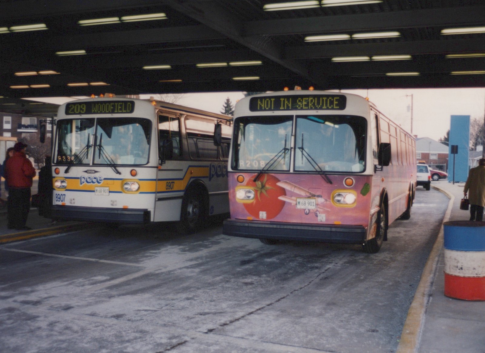 Two white buses with the Pace logo at a snow-dusted bus terminal; one has a tomato ad and reads 'NOT IN SERVICE', the other shows route 209 to Woodfield.
