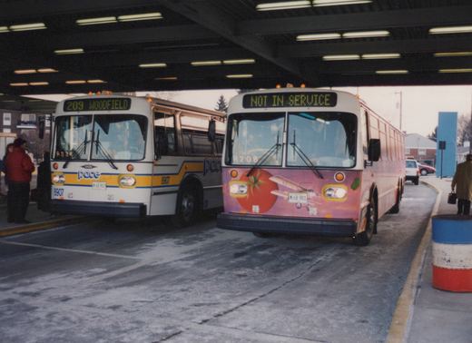 Two white buses with the Pace logo at a snow-dusted bus terminal; one has a tomato ad and reads 'NOT IN SERVICE', the other shows route 209 to Woodfield.