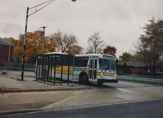 A white and yellow Pace bus, number 8853, is parked at a bus stop on a street with autumn trees in the background.